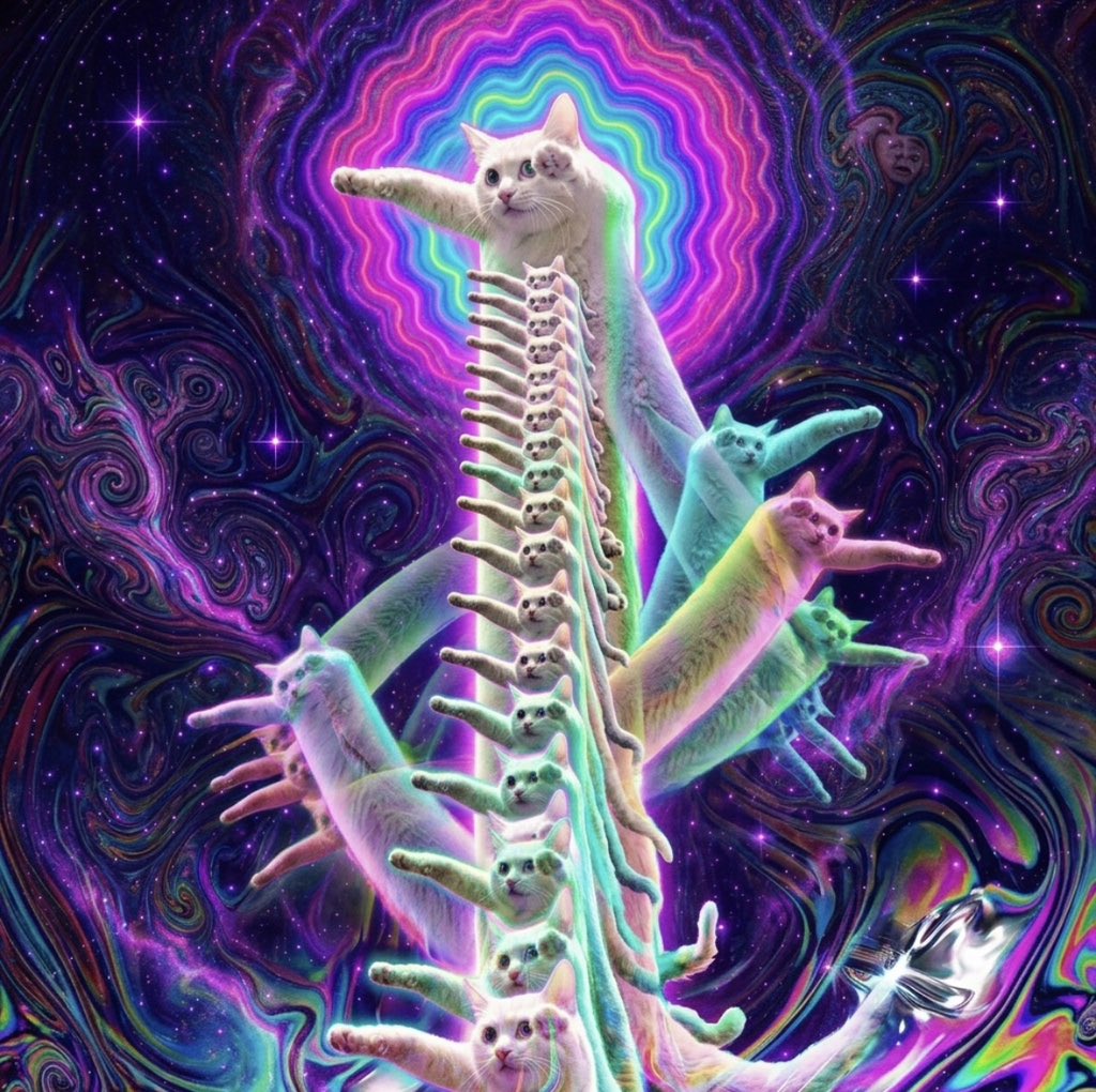 longcat-08