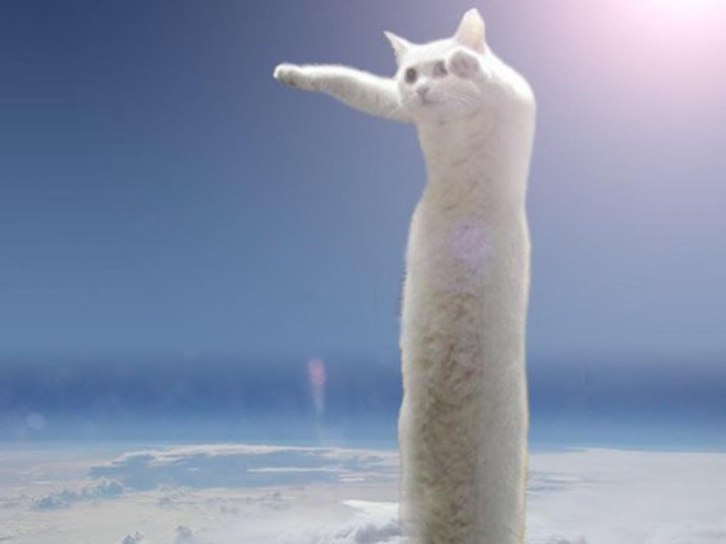 longcat-10