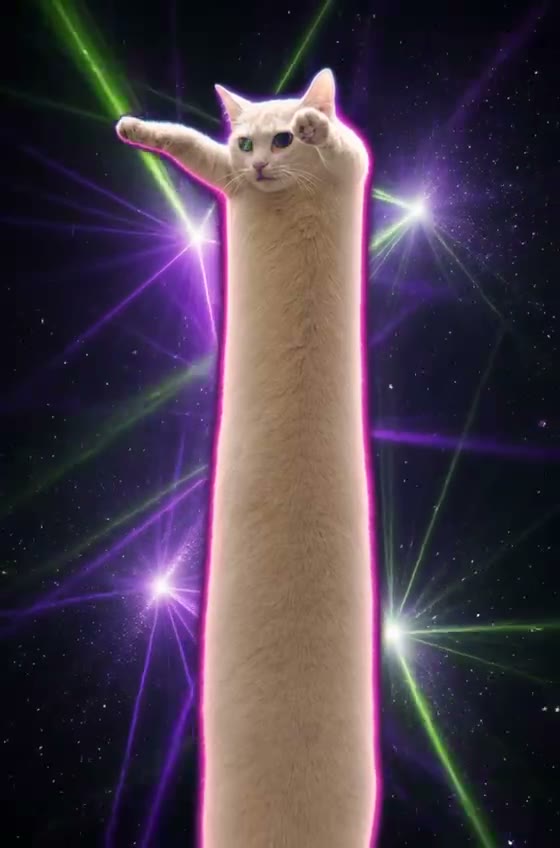 laser cat