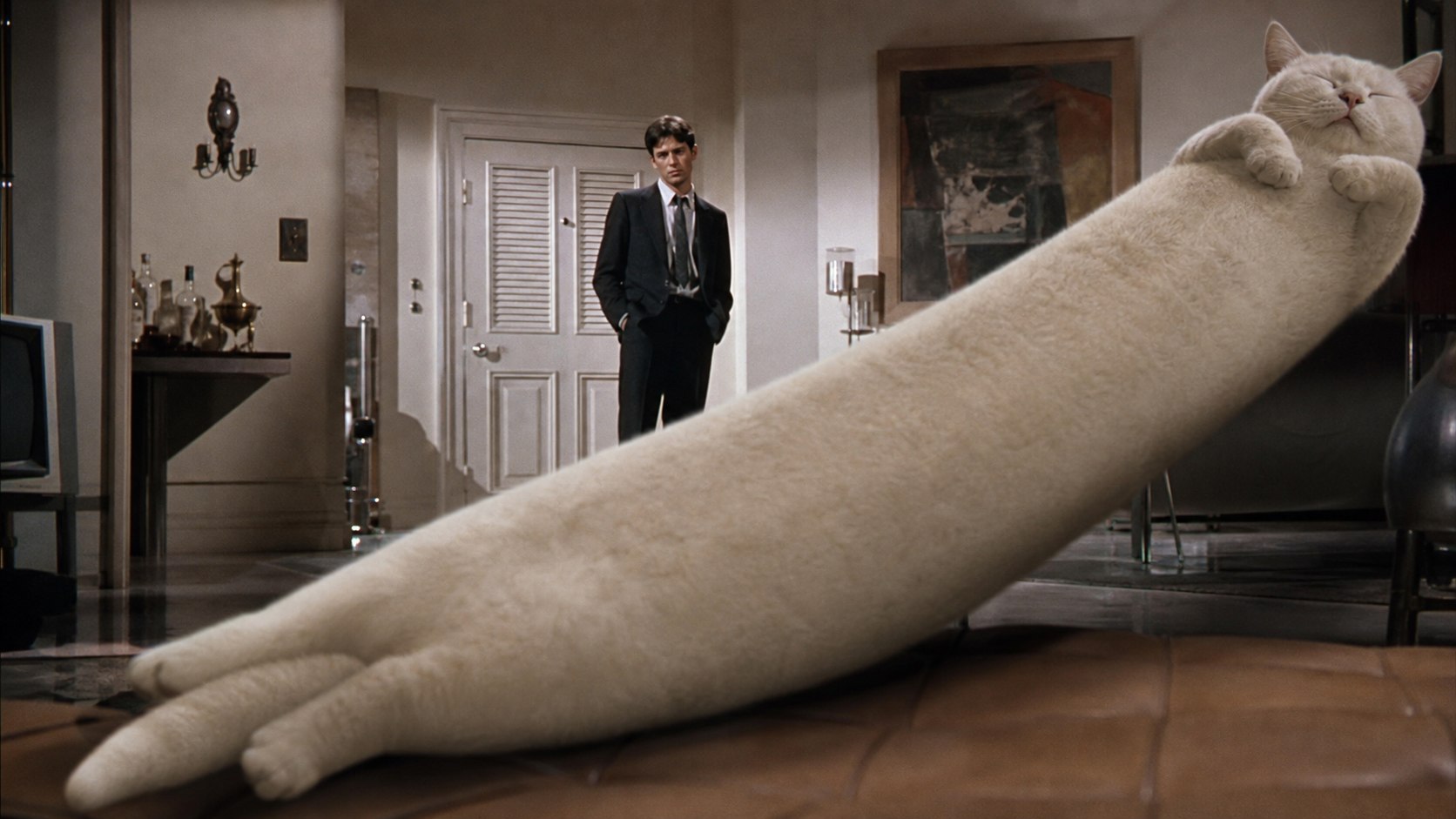 Sixties film couch colossus