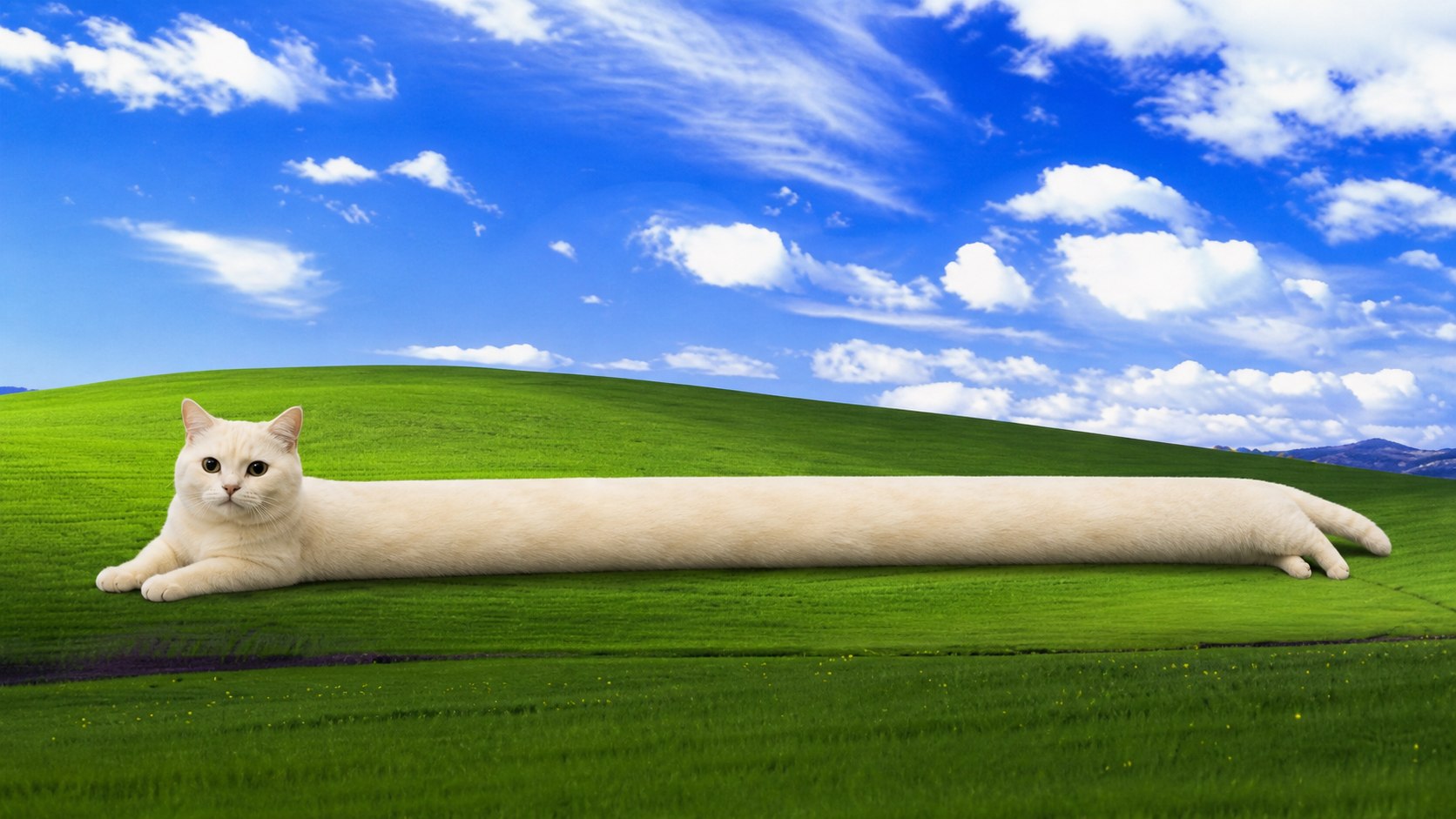 Bliss straight longcat
