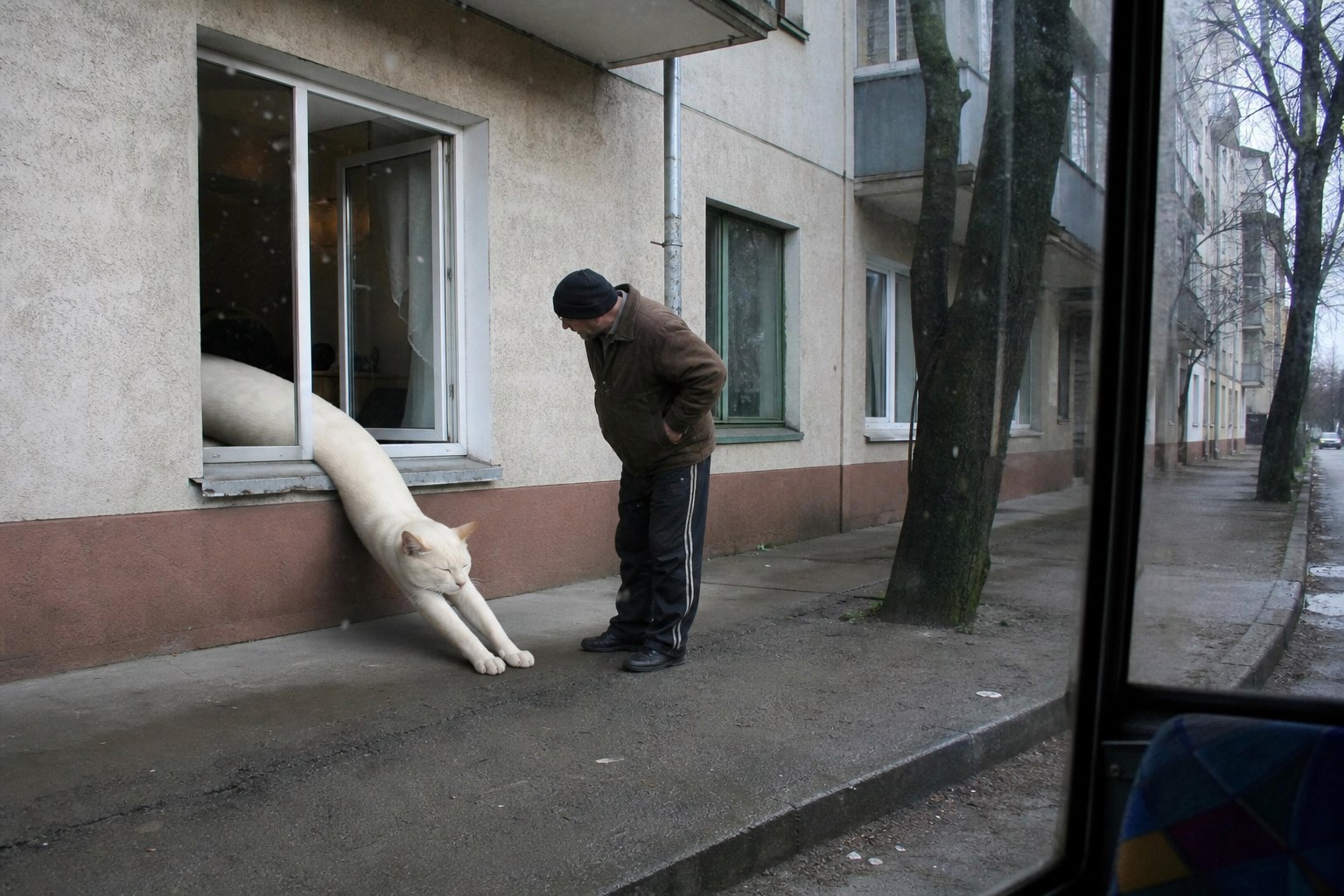 Morning stretch to street