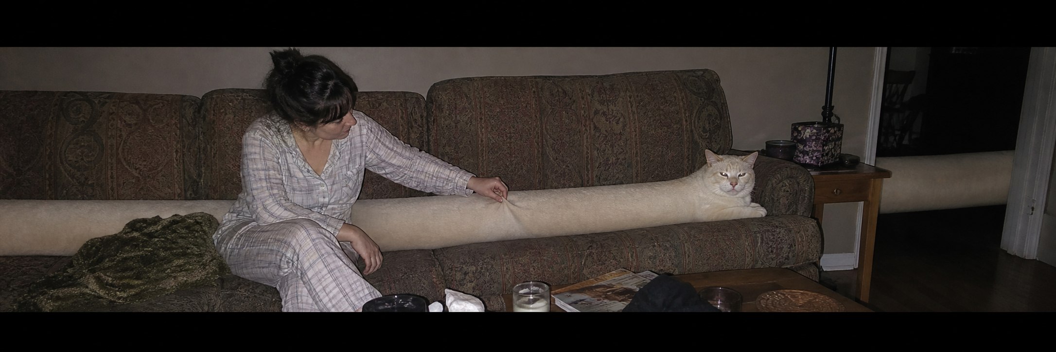 Late Night Couch Bolster Check