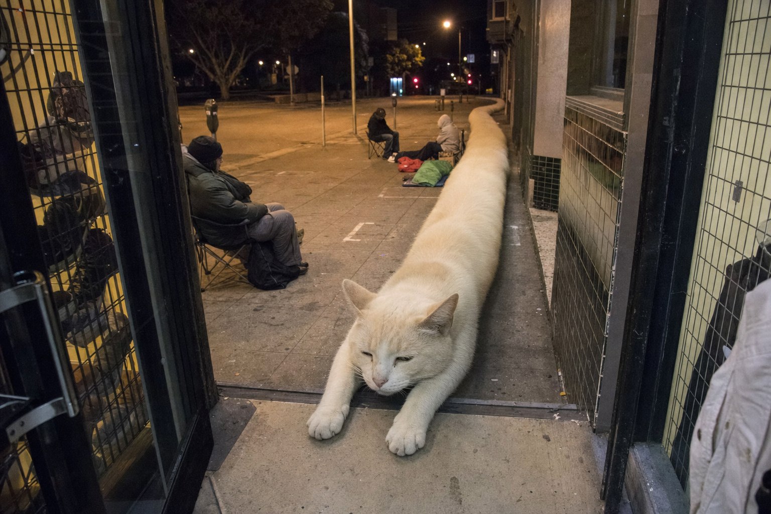 Doorstep Stretch at Night